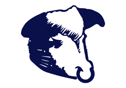 Campbells Fresh Scottish Haggis in packaging – traditional haggis from Scotland