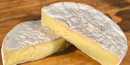 Highland Fine Brie