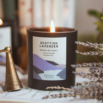 Scottish Lavender, Organic Scented Candle | Ocoee House: Single Wick - Scottish Store & Deli
