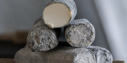 Ash Golden Cross Goats