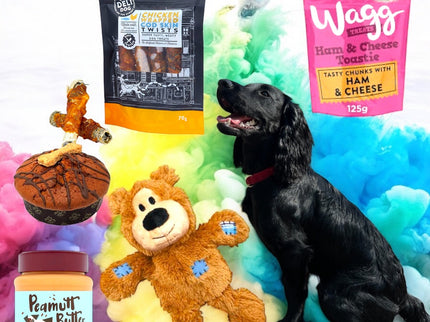 Pawfect Treat Hamper - Scottish Hampers