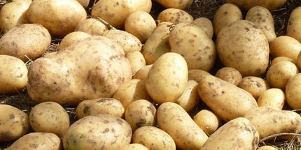 Scottish Potatoes 1KG