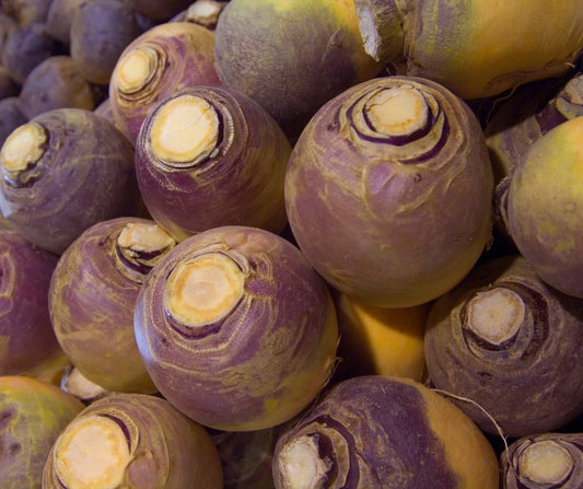 Scottish Swede