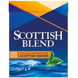 Scottish Blend 240 Pyramid Tea Bags
